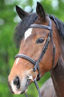 Kavalkade Akila hodelag