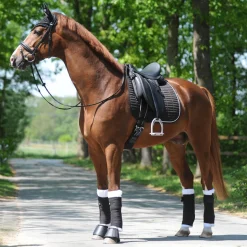 Kavalkade KavalEasy Strass dressursjabrak