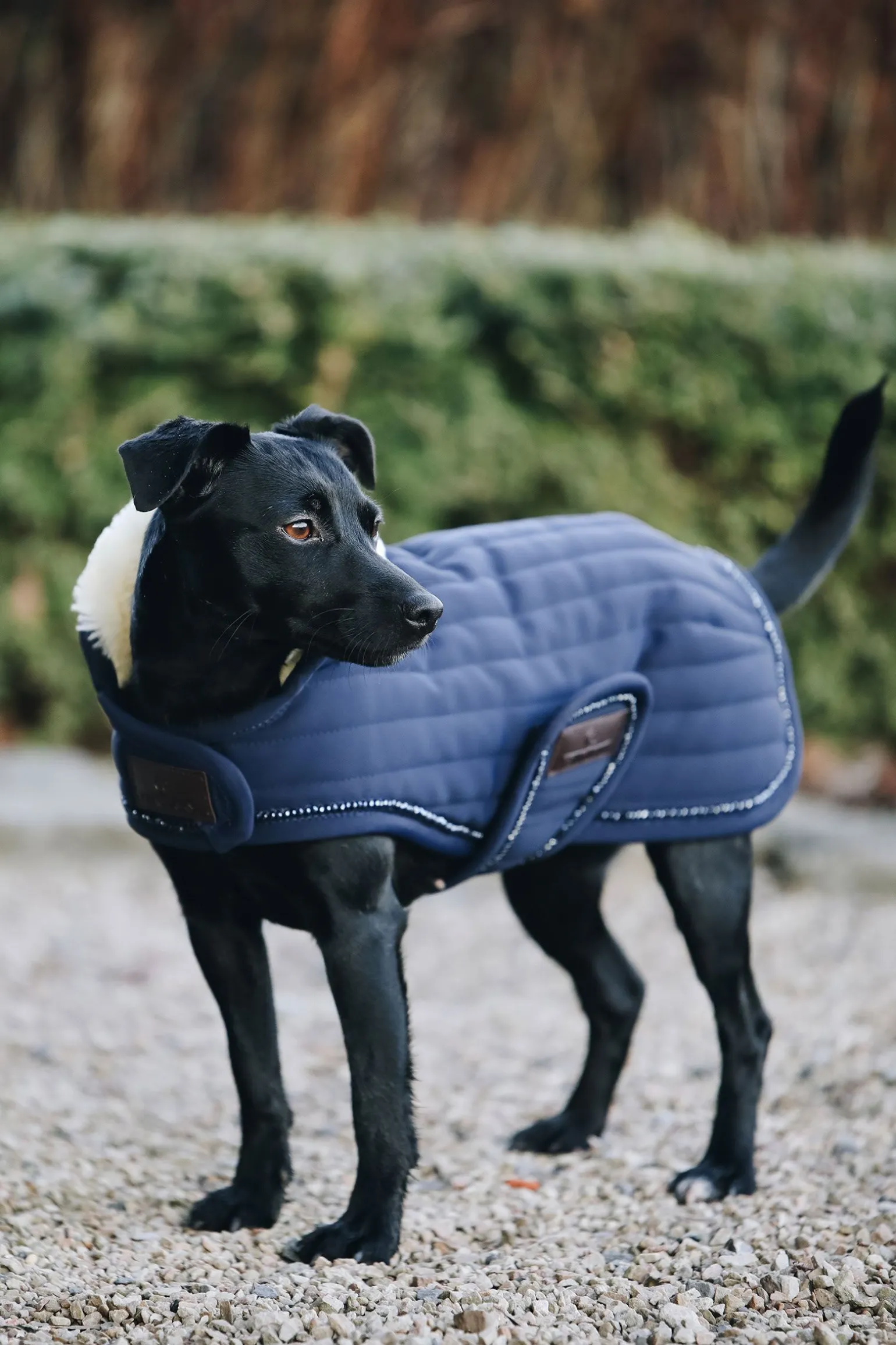 Kentucky Dogwear Pearls hundedekken
