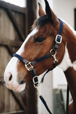 Kentucky flettet nylongrime