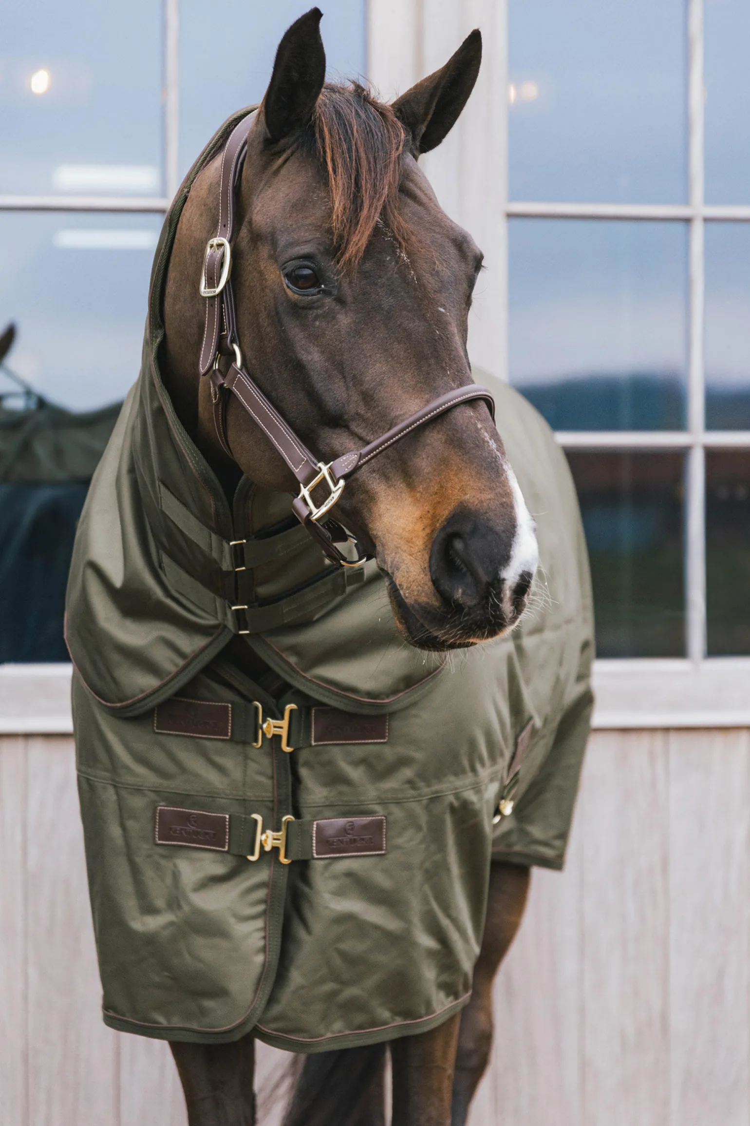 Kentucky Horsewear All Weather utedekken, 160 gram