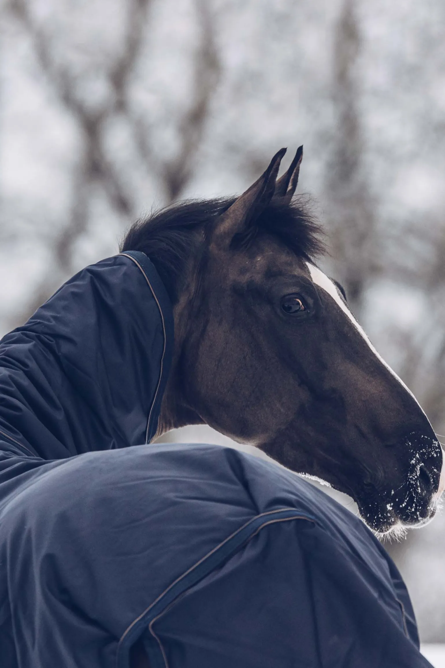 Kentucky Horsewear All Weather Classic utedekken, 300 gram