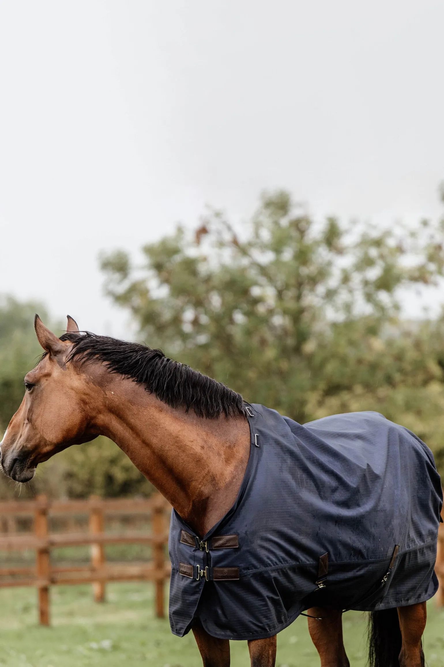 Kentucky Horsewear All Weather utedekken, 300 gram