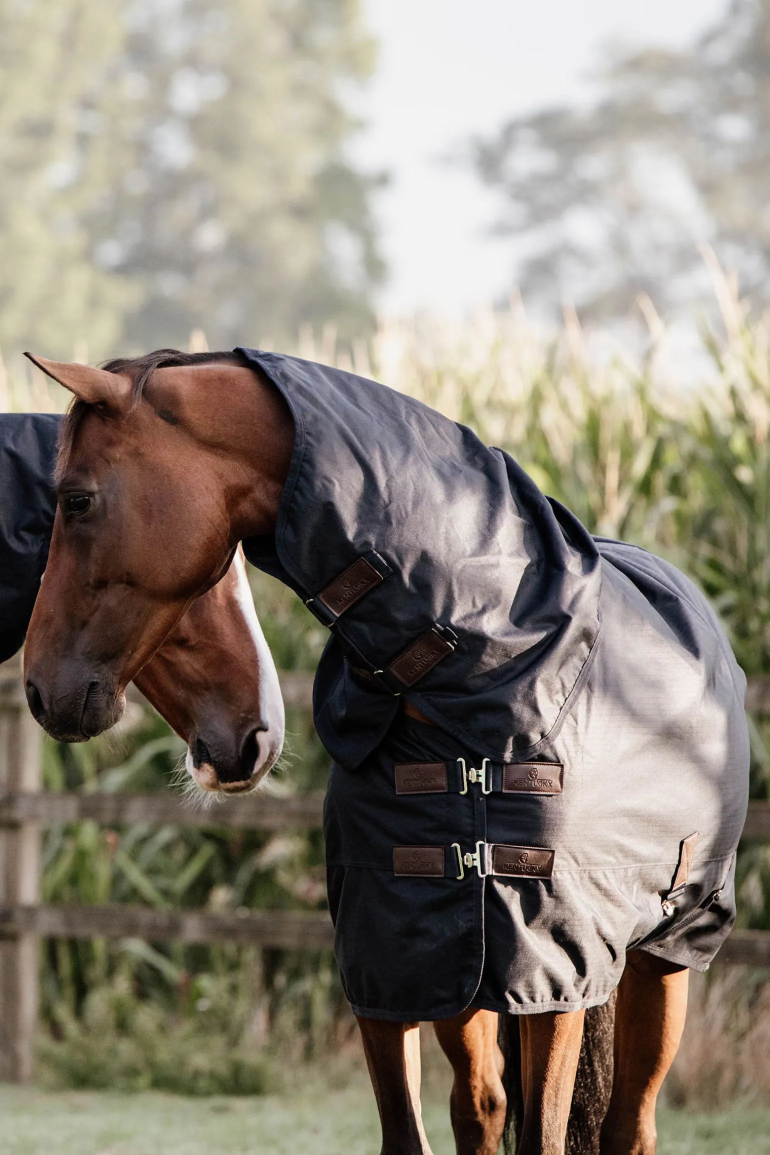 Kentucky Horsewear All Weather Classic utedekken, 150 gram