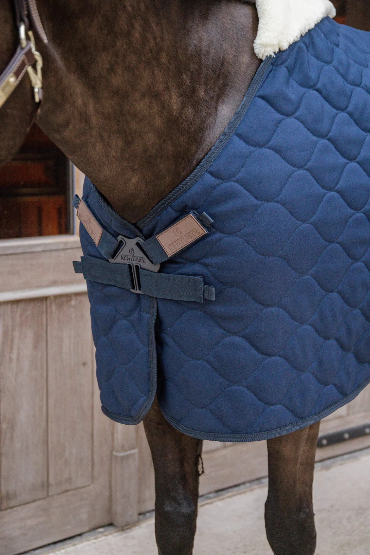 Kentucky Horsewear Comfort Stallteppe 100g
