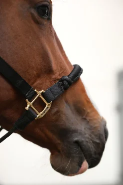 Kentucky Horsewear Control grime
