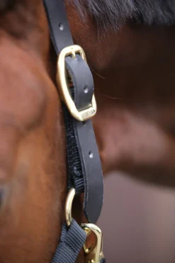 Kentucky Horsewear Control grime
