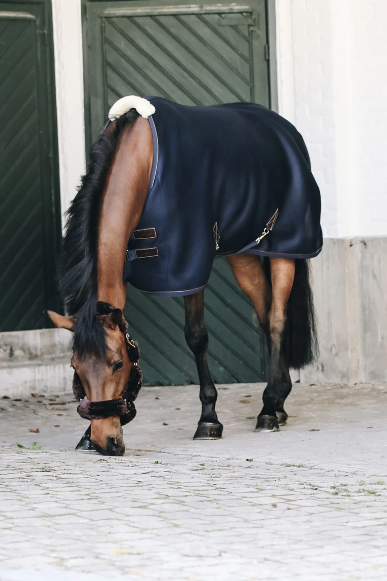 Kentucky Horsewear 3D spacer Cooler dekken