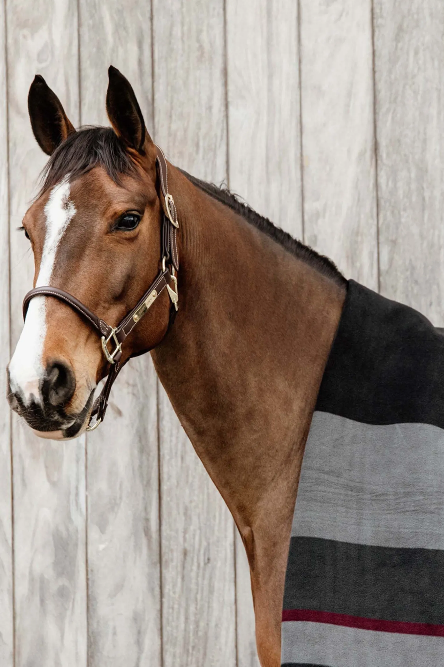 Kentucky Horsewear Heavy fleecedekken