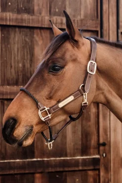 Kentucky Horsewear leather rope grime