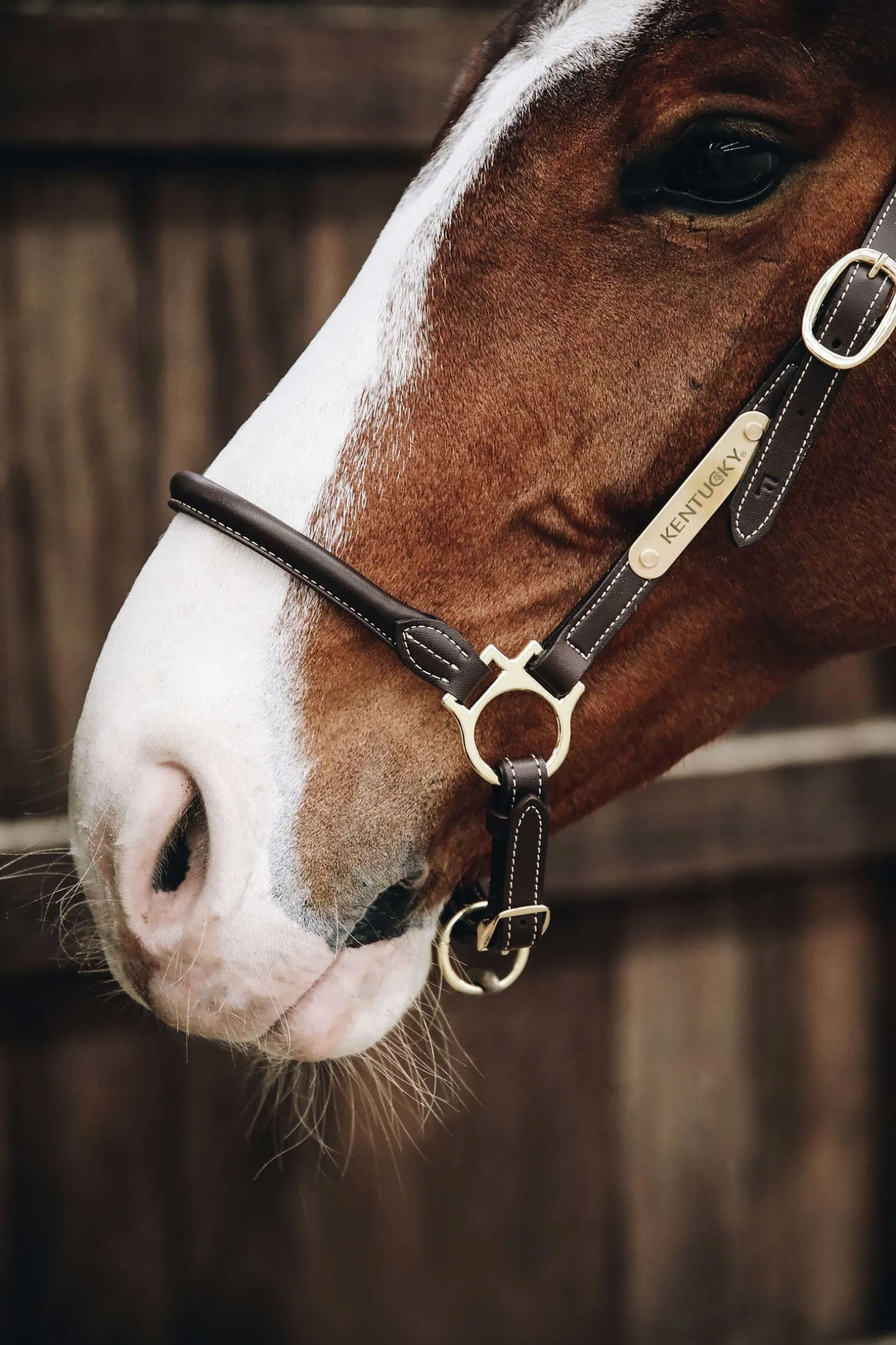 Kentucky Horsewear lærgrime for stell