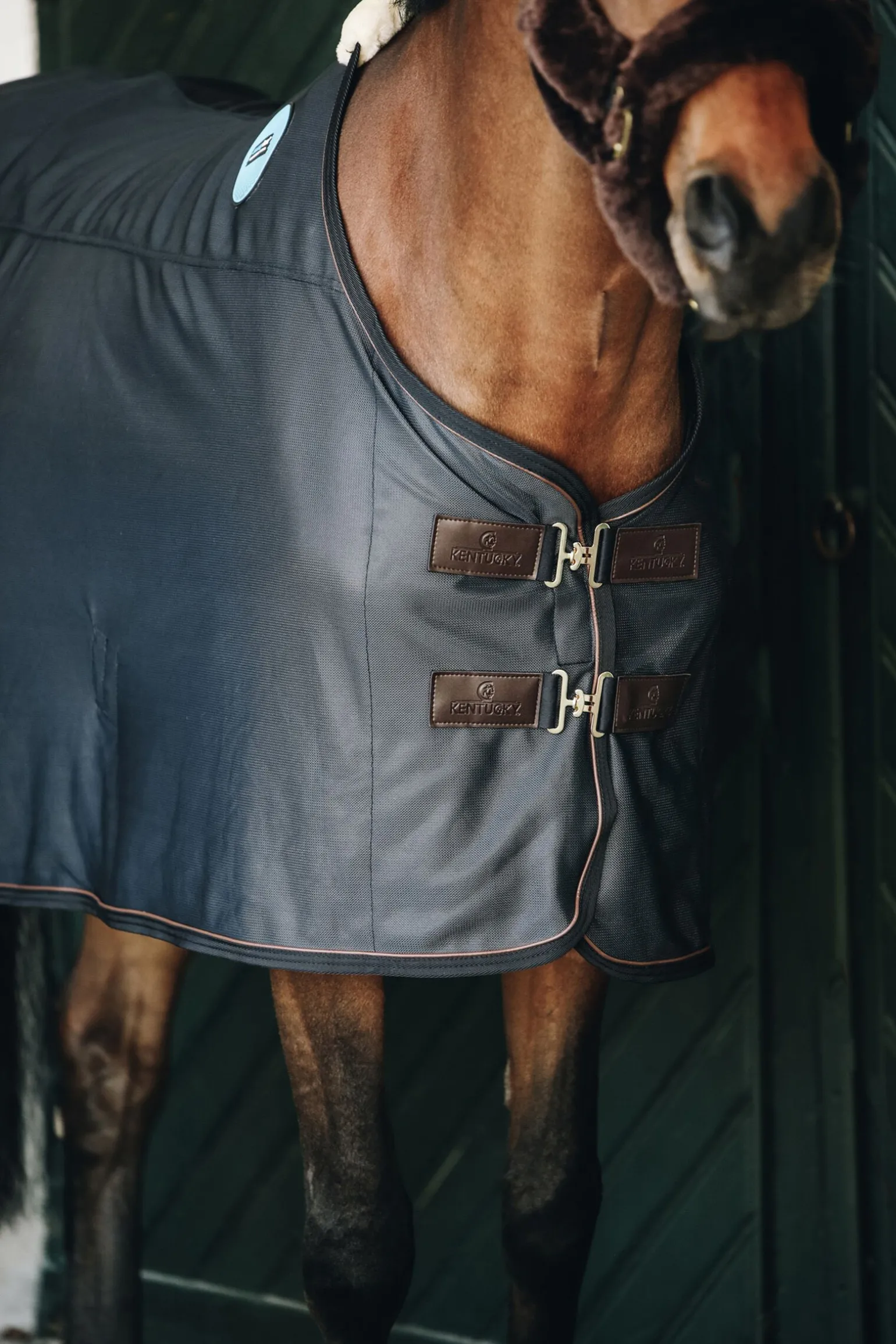 Kentucky Horsewear Recuptex magnetisk dekken