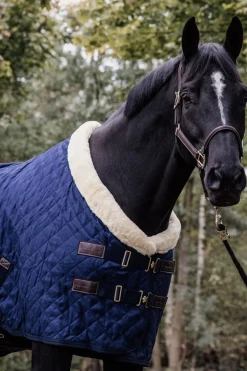 Kentucky Horsewear showdekken, 160 gram