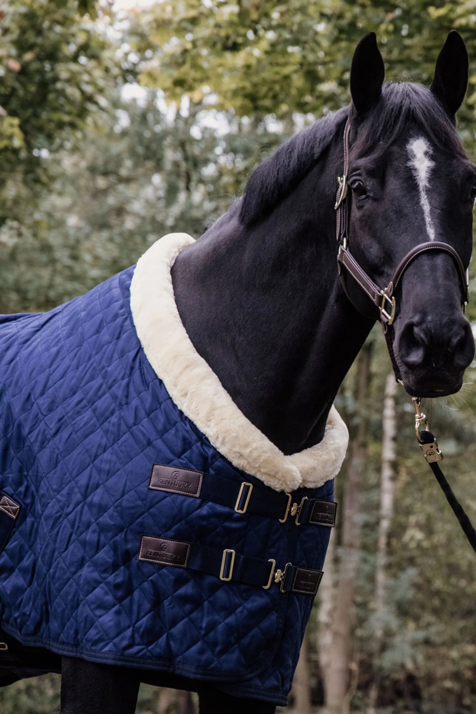 Kentucky Horsewear showdekken, 160 gram