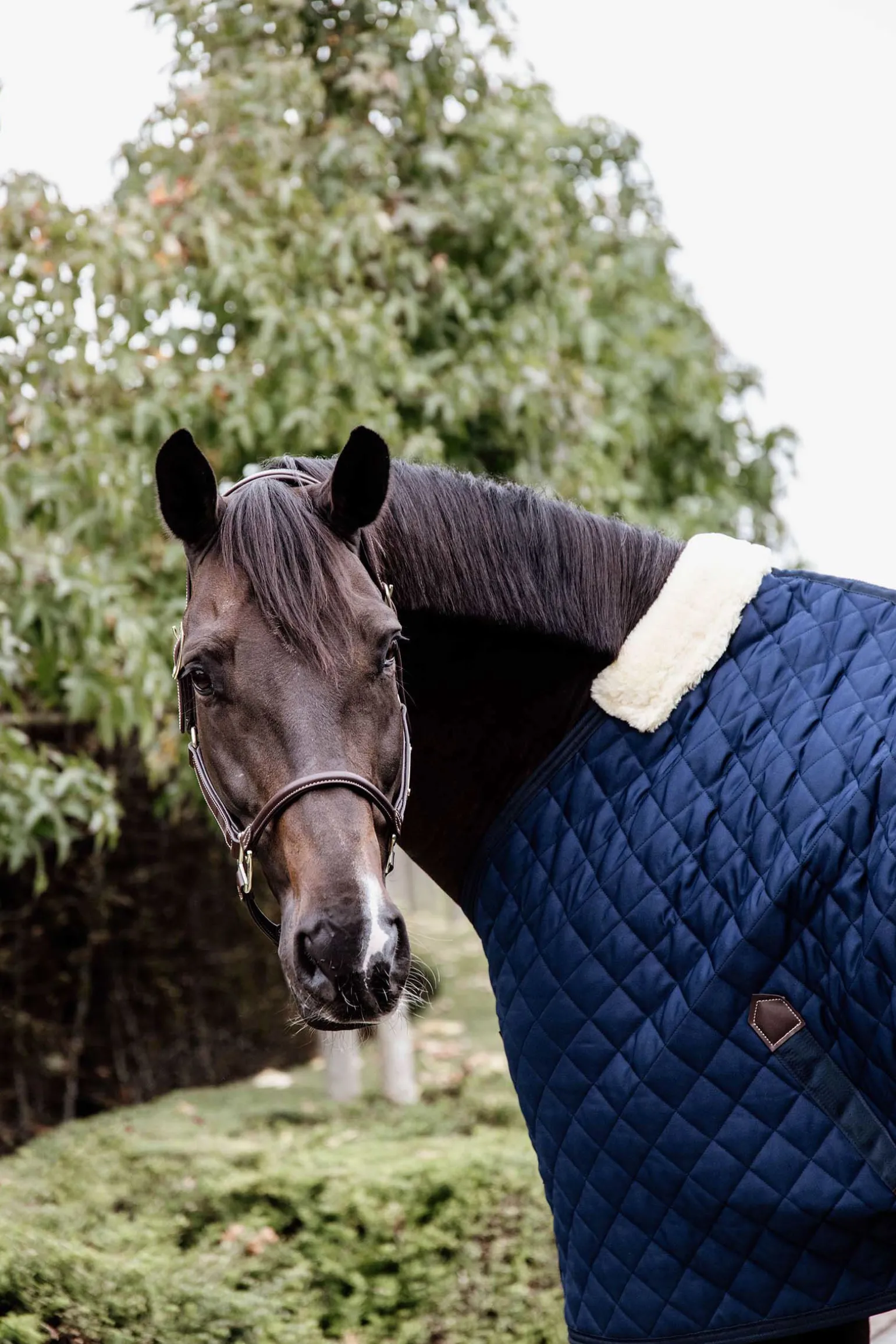 Kentucky Horsewear stalldekken, 200 gram