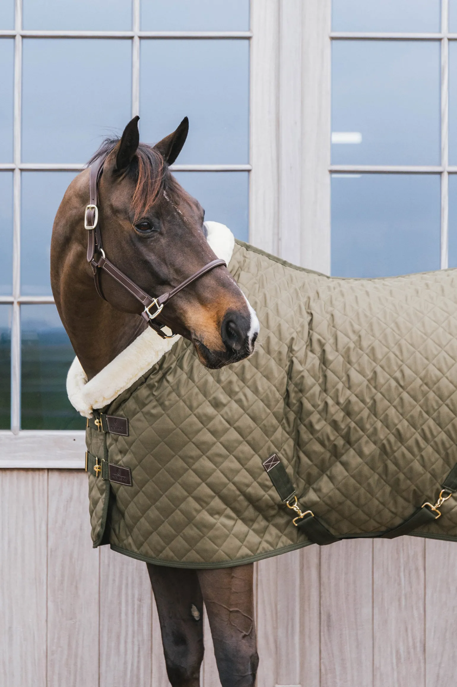 Kentucky Horsewear stevnedekken, 160 gram