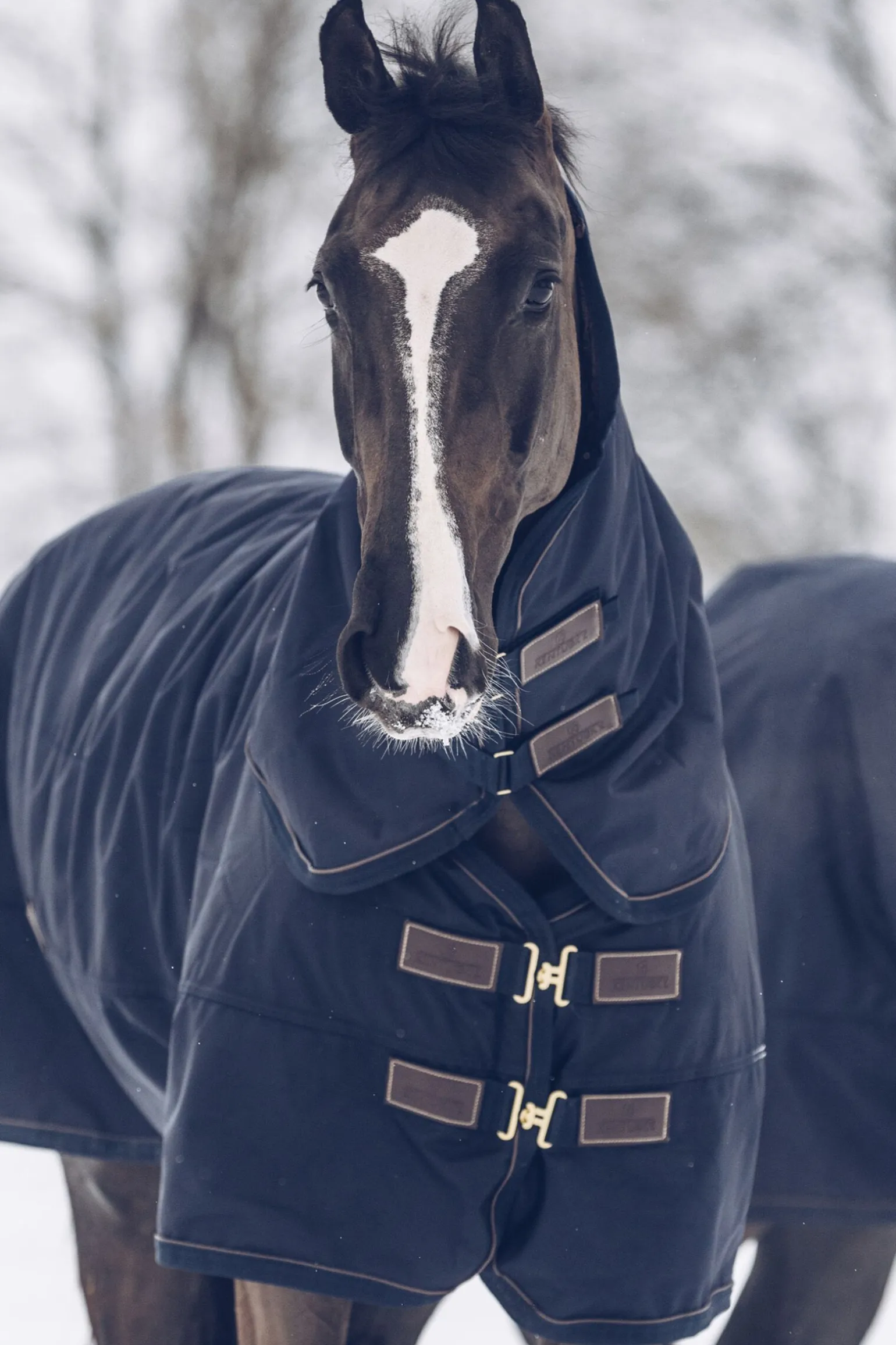 Kentucky Horsewear Tiny All Weather utedekken, 300 gram