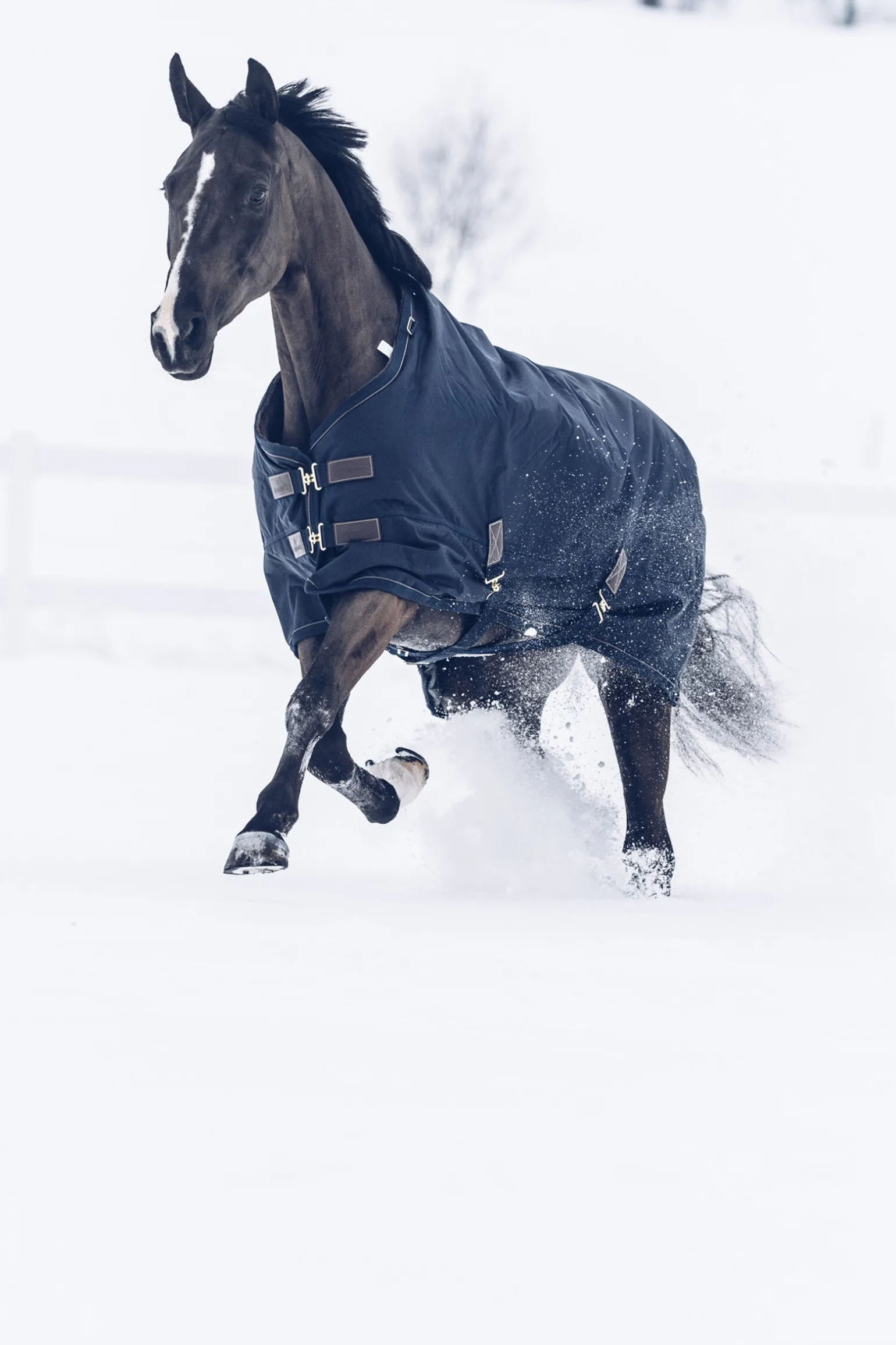 Kentucky Horsewear Tiny All Weather utedekken, 300 gram