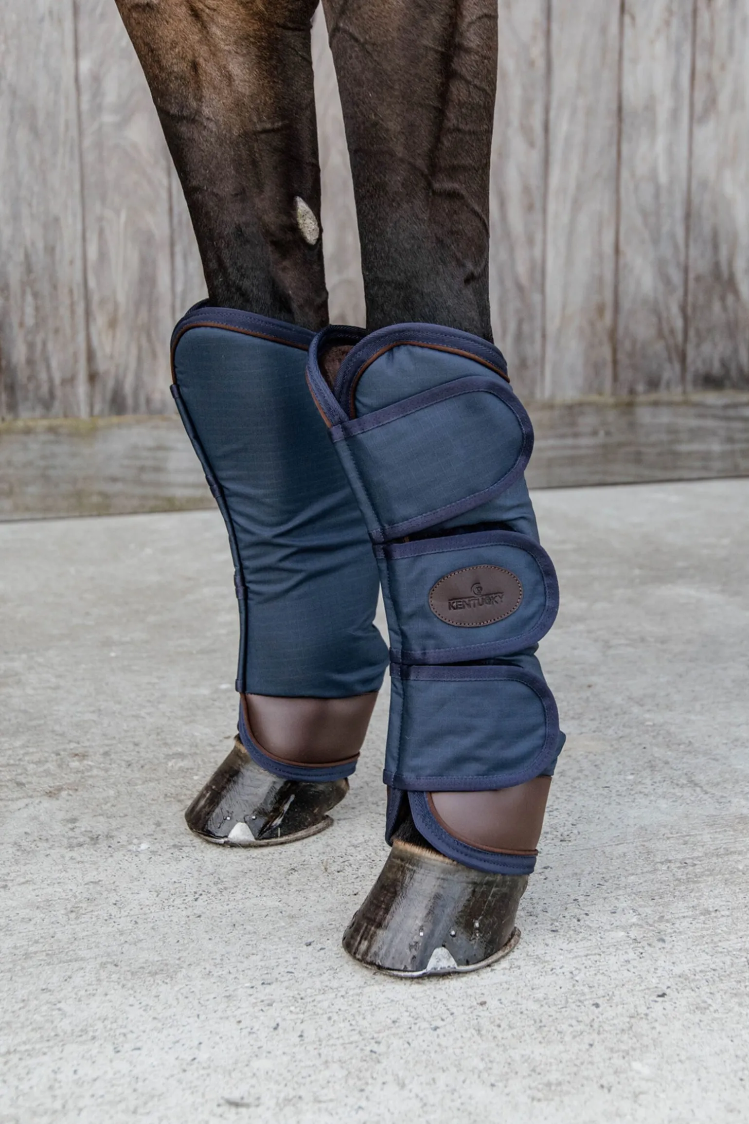 Kentucky Horsewear transportbelegg