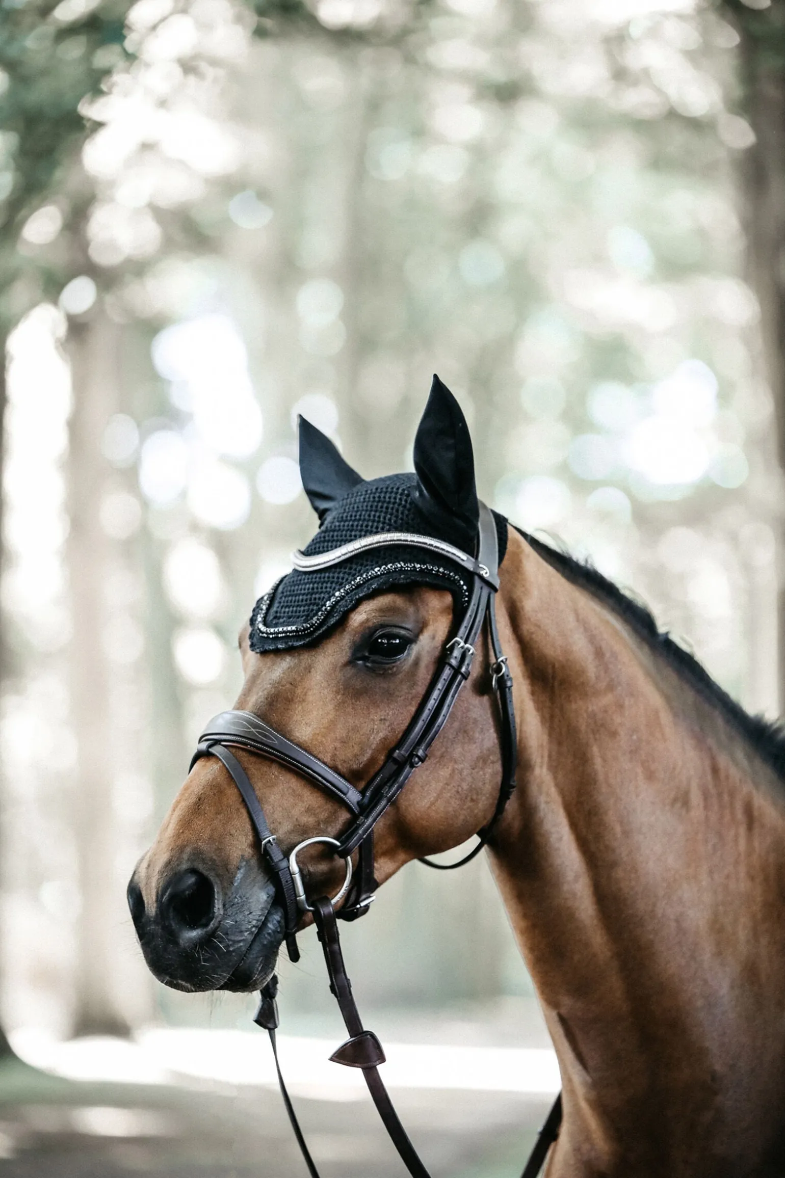 Kentucky Horsewear Wellington med steiner og perler