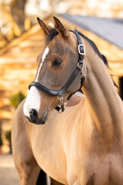 LeMieux Leather Grooming Headcollar