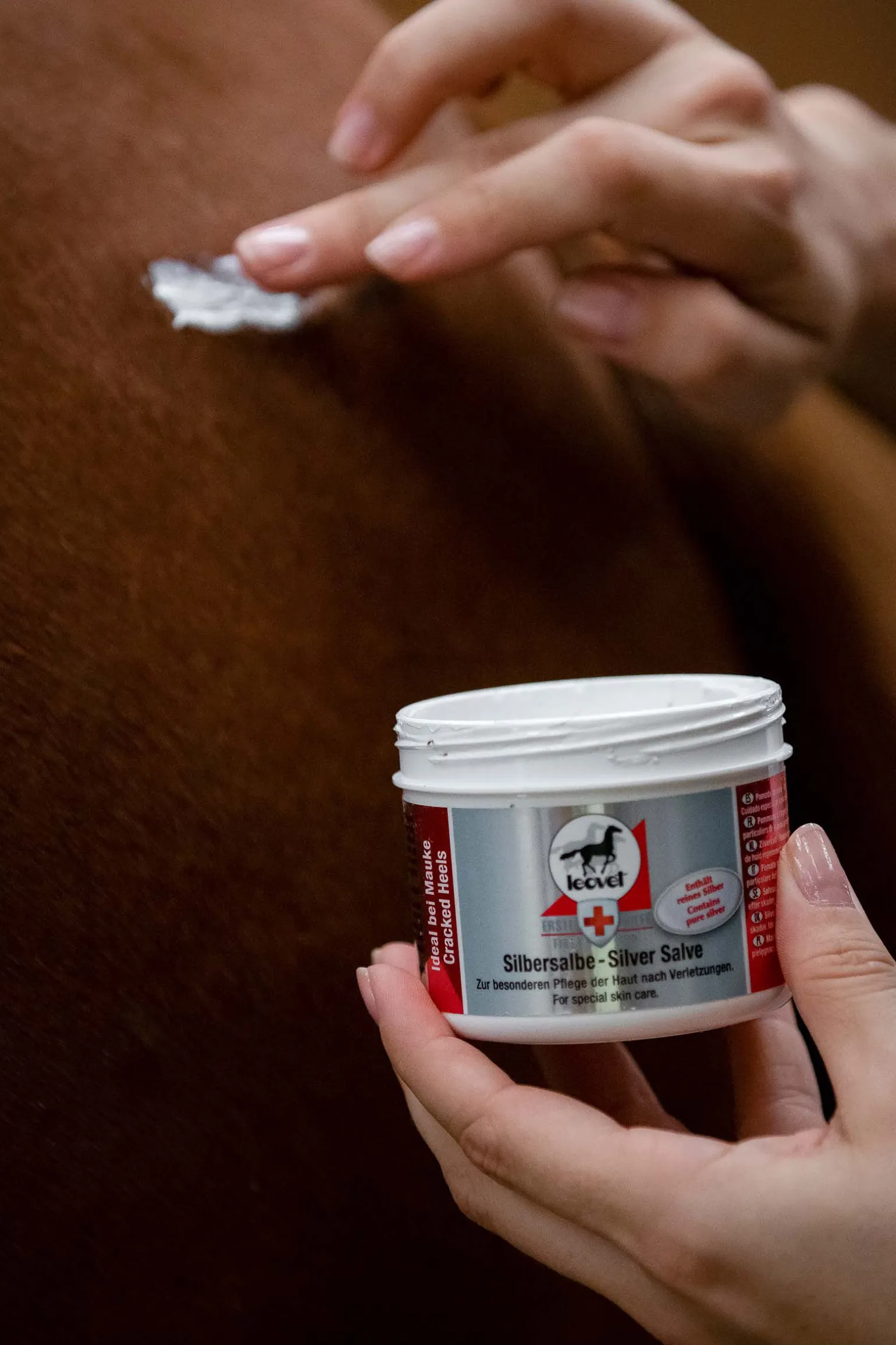 Leovet Silver salve