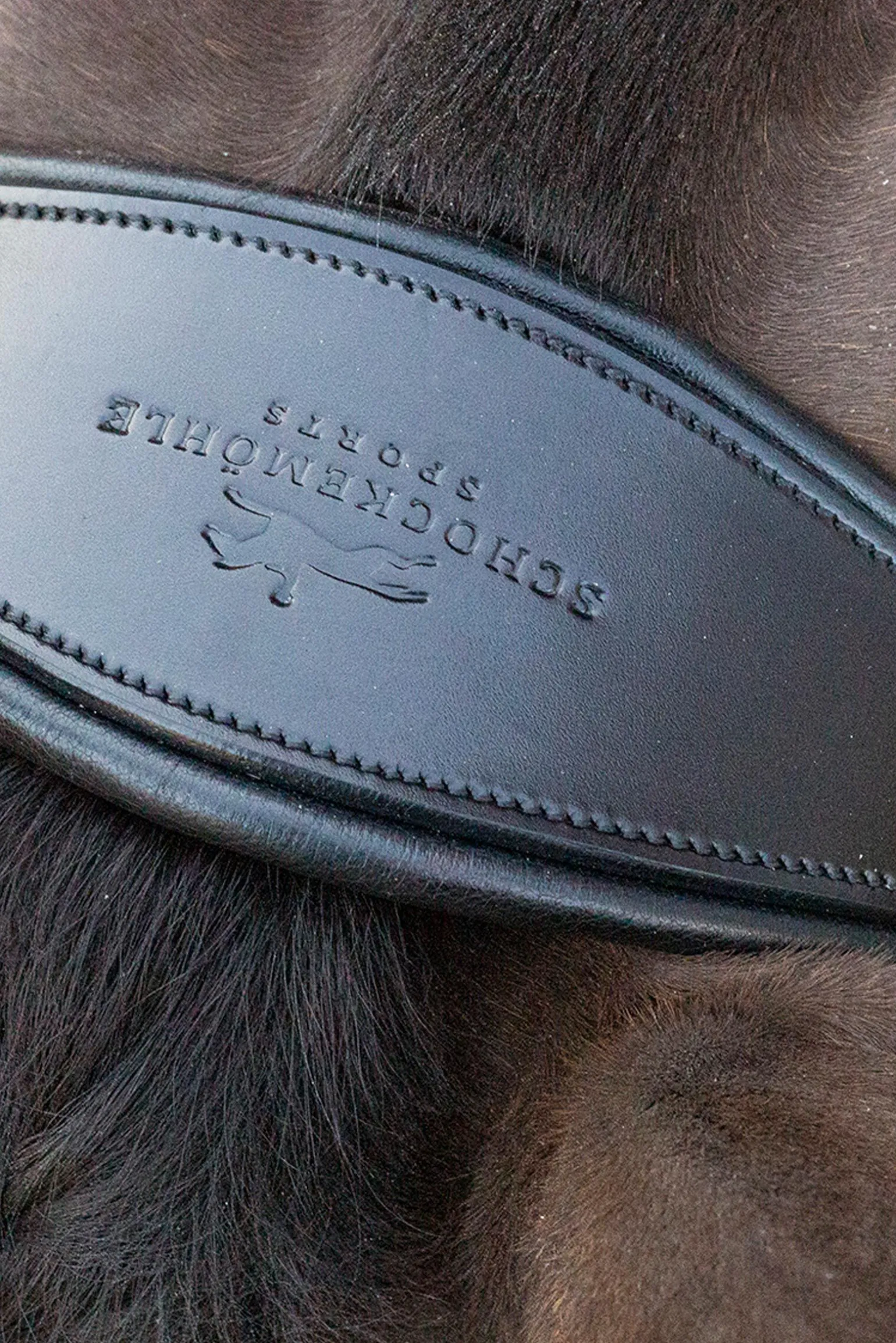 Schockemöhle Sports Brindisi Kandarhodelag