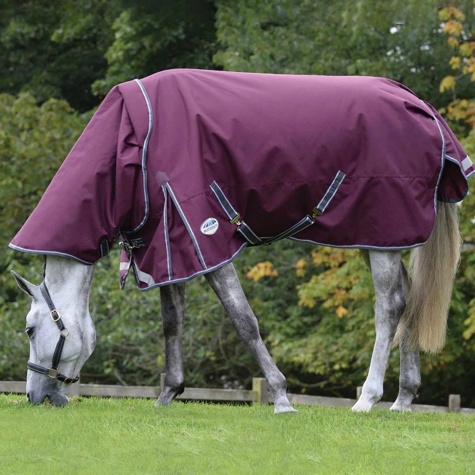 Weatherbeeta Comfitec Plus Dynamic II Detach-a-neck utedekken, 0 gram